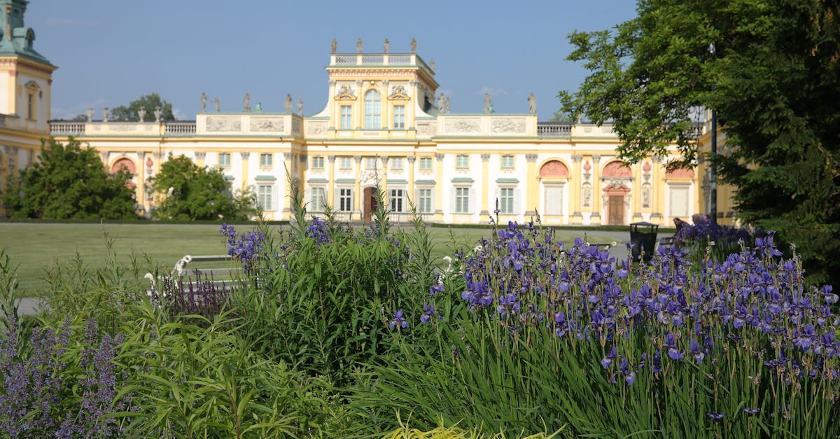 découvrez l'élégance sous toutes ses formes, alliant sophistication, style et raffinement. explorez des conseils et inspirations pour sublimer votre quotidien avec une touche d'élégance.