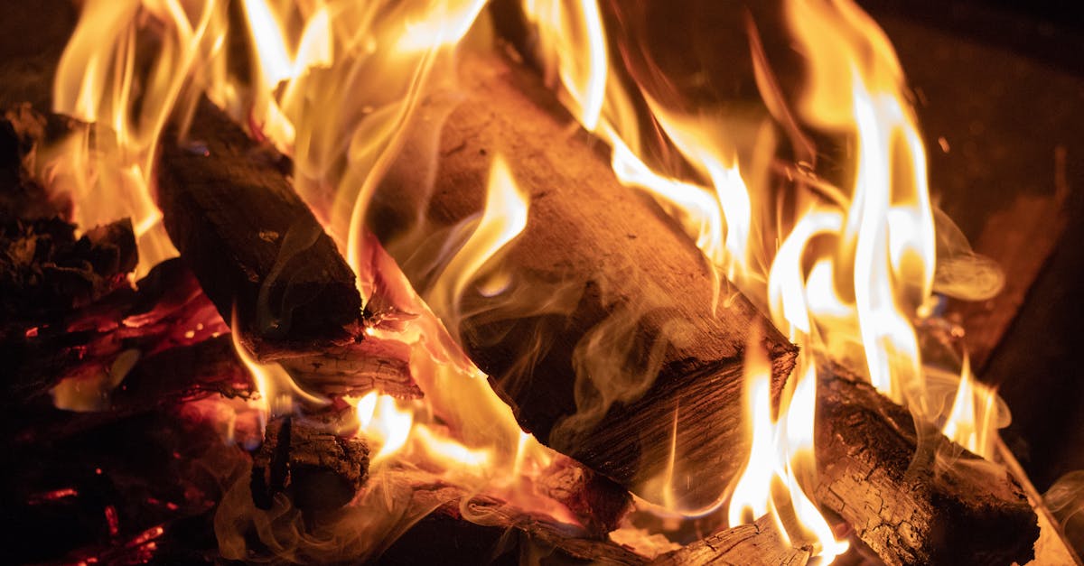 découvrez la chaleur réconfortante et l'ambiance apaisante que peut apporter la chaleur dans votre vie. explorez des conseils pour créer un espace chaleureux, que ce soit par des éléments de décoration, des recettes réconfortantes ou des activités à partager en famille. plongez dans l'univers de la chaleur et du bien-être.